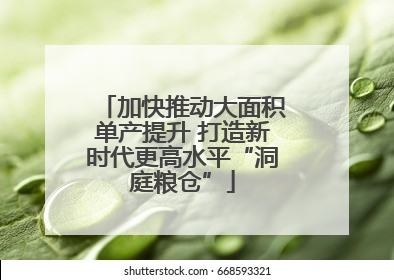 加快推动大面积单产提升 打造新时代更高水平“洞庭粮仓”