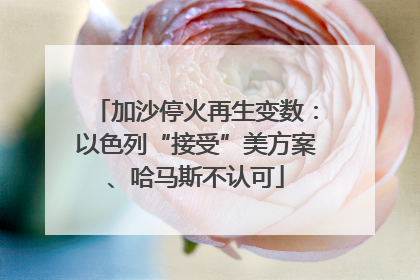 加沙停火再生变数：以色列“接受”美方案、哈马斯不认可