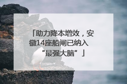 助力降本增效，安徽14座船闸已纳入“最强大脑”