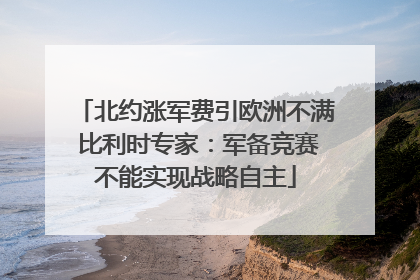 北约涨军费引欧洲不满 比利时专家：军备竞赛不能实现战略自主