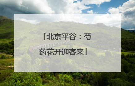 北京平谷：芍药花开迎客来