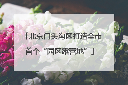 北京门头沟区打造全市首个“园区露营地”