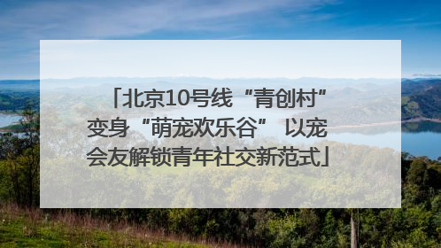 北京10号线“青创村”变身“萌宠欢乐谷” 以宠会友解锁青年社交新范式