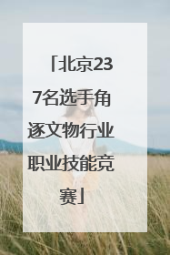 北京237名选手角逐文物行业职业技能竞赛
