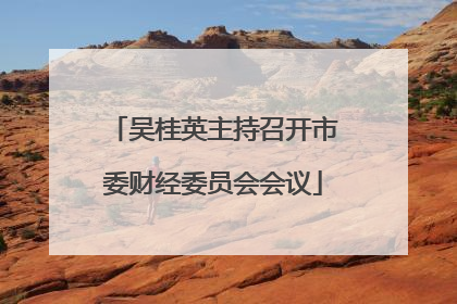 吴桂英主持召开市委财经委员会会议