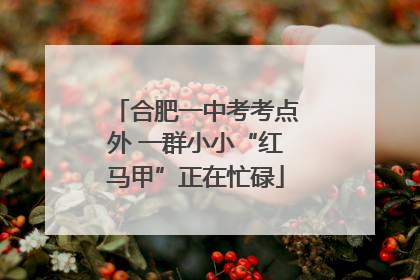 合肥一中考考点外 一群小小“红马甲”正在忙碌
