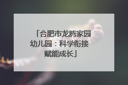 合肥市龙腾家园幼儿园：科学衔接 赋能成长