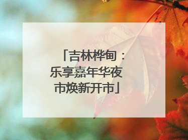 吉林桦甸：乐享嘉年华夜市焕新开市