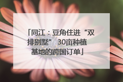 同江：豆角住进“双排别墅” 30亩种植基地的跨国订单