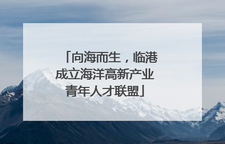 向海而生，临港成立海洋高新产业青年人才联盟