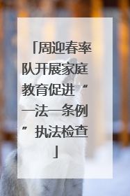 周迎春率队开展家庭教育促进“一法一条例”执法检查