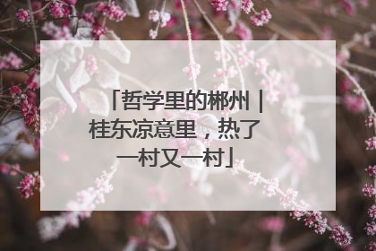 哲学里的郴州｜桂东凉意里，热了一村又一村