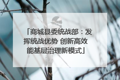 商城县委统战部：发挥统战优势 创新高效能基层治理新模式
