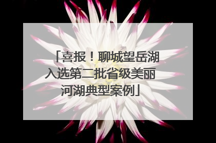 喜报！聊城望岳湖入选第二批省级美丽河湖典型案例