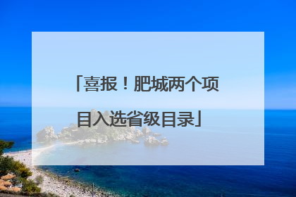 喜报！肥城两个项目入选省级目录