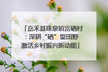 嘉禾县珠泉镇富硒村：深耕“硒”望田野 激活乡村振兴新动能