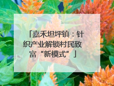 嘉禾坦坪镇：针织产业解锁村民致富“新模式”
