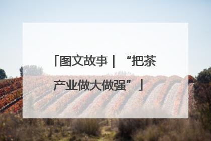 图文故事｜“把茶产业做大做强”