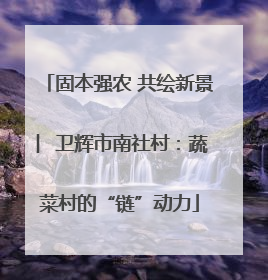 固本强农 共绘新景 ︳卫辉市南社村：蔬菜村的“链”动力