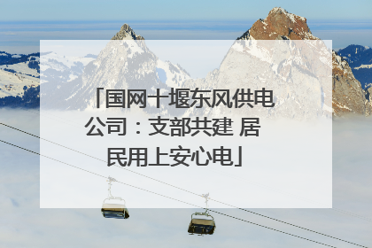 国网十堰东风供电公司：支部共建 居民用上安心电