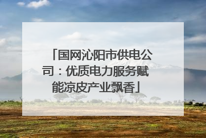 国网沁阳市供电公司：优质电力服务赋能凉皮产业飘香