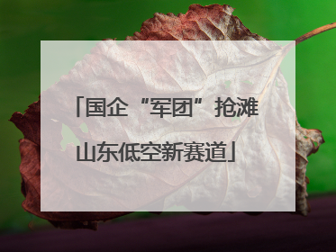 国企“军团”抢滩山东低空新赛道