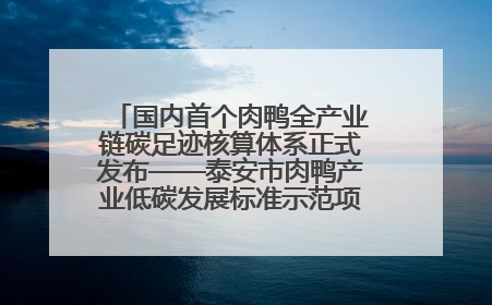 国内首个肉鸭全产业链碳足迹核算体系正式发布——泰安市肉鸭产业低碳发展标准示范项目顺利通过验收