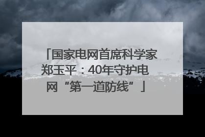 国家电网首席科学家郑玉平：40年守护电网“第一道防线”