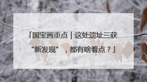 国宝画重点｜这处遗址三获“新发现”，都有啥看点？