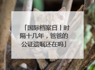 国际档案日丨时隔十几年，爸爸的公证遗嘱还在吗