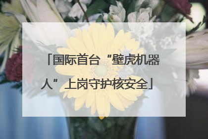 国际首台“壁虎机器人”上岗守护核安全