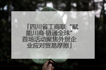 四川省工商联“赋能川商·链通全球”首场活动聚焦外贸企业应对贸易摩擦