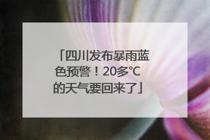 四川发布暴雨蓝色预警！20多℃的天气要回来了