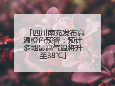 四川南充发布高温橙色预警：预计多地最高气温将升至38℃