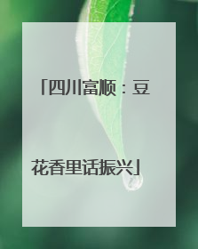 四川富顺：豆花香里话振兴