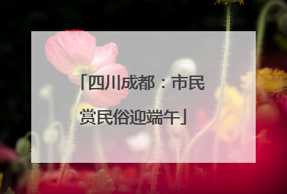 四川成都：市民赏民俗迎端午