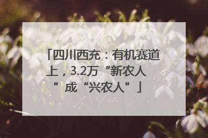 四川西充：有机赛道上，3.2万“新农人”成“兴农人”