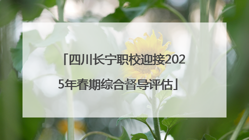 四川长宁职校迎接2025年春期综合督导评估