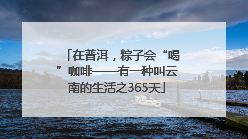 在普洱，粽子会“喝”咖啡——有一种叫云南的生活之365天