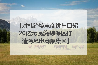 对韩跨境电商进出口超20亿元 威海综保区打造跨境电商聚集区