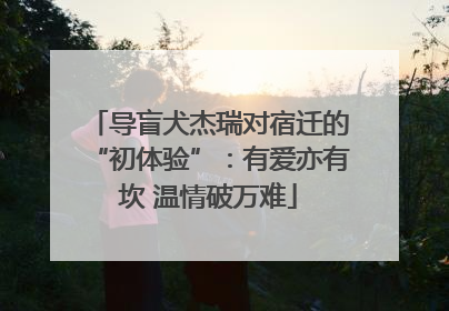 导盲犬杰瑞对宿迁的“初体验”：有爱亦有坎 温情破万难