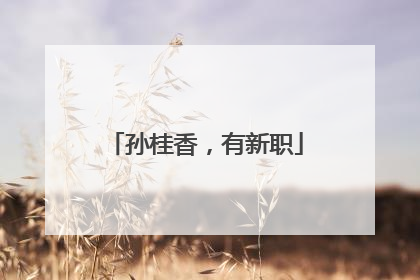 孙桂香，有新职