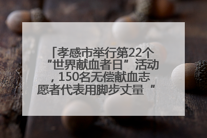 孝感市举行第22个“世界献血者日”活动，150名无偿献血志愿者代表用脚步丈量“中华孝爱第一山”
