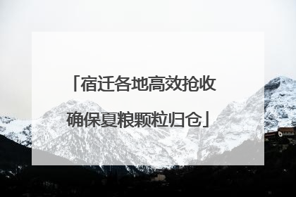宿迁各地高效抢收 确保夏粮颗粒归仓