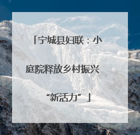 宁城县妇联：小庭院释放乡村振兴“新活力”