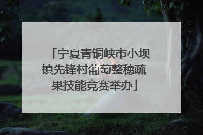 宁夏青铜峡市小坝镇先锋村葡萄整穗疏果技能竞赛举办