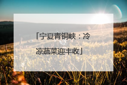 宁夏青铜峡：冷凉蔬菜迎丰收