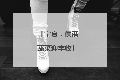 宁夏：供港蔬菜迎丰收