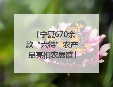 宁夏670余款“六特”农产品亮相农展馆