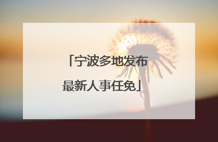 宁波多地发布最新人事任免